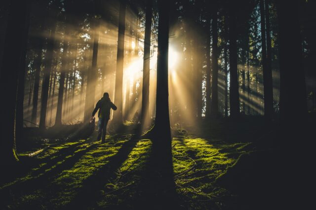 Une personne marchant dans les bois avec des rayons de soleil perçant à travers les arbres.