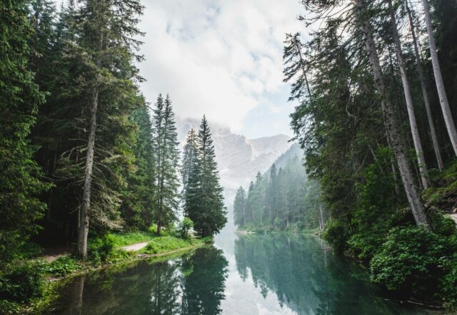Une vue naturelle avec de l’eau, une forêt pis des montagnes.