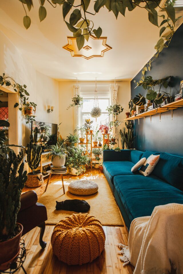 Un salon avec des meubles et de nombreuses plantes.