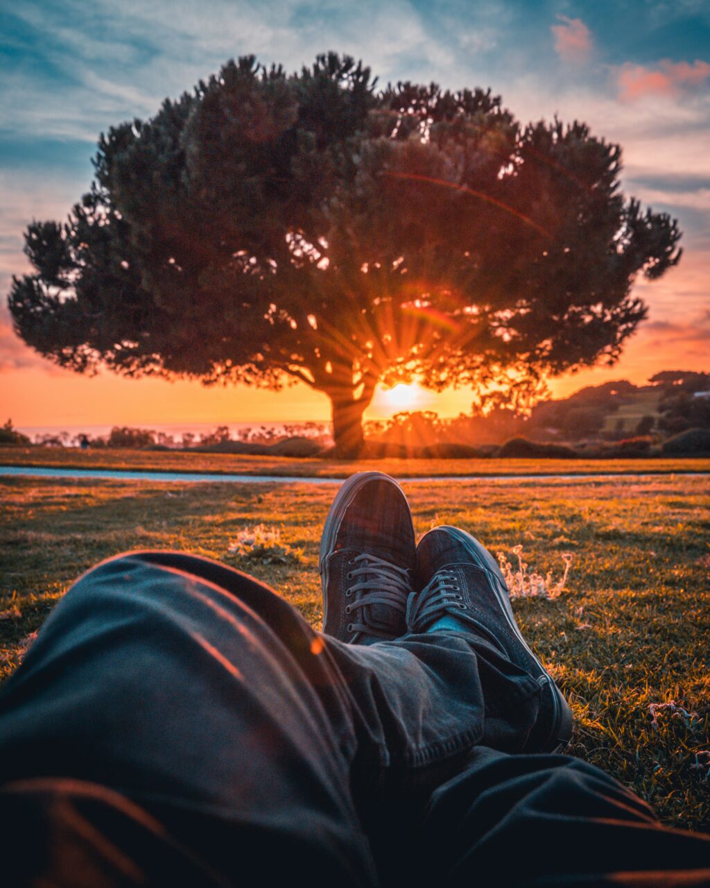 Une personne allongée dans l’herbe, regardant le coucher du soleil à travers les arbres.
