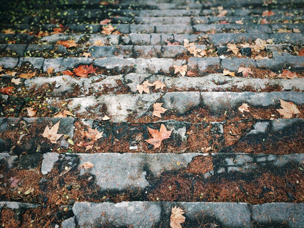 Des escaliers parsemés de feuilles.