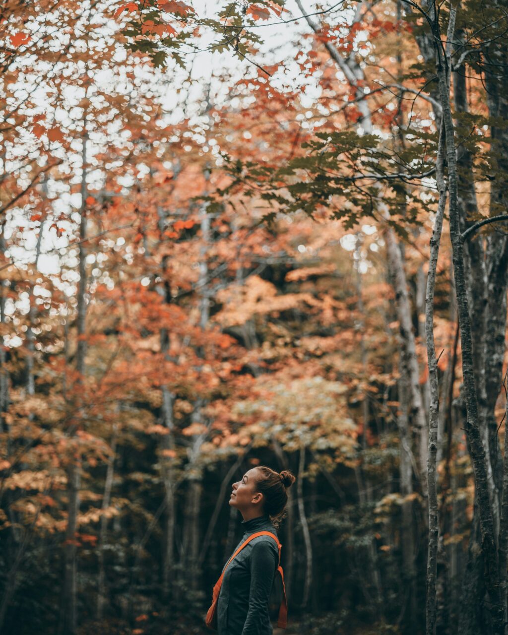 Une femme regarde vers le haut dans la forêt.