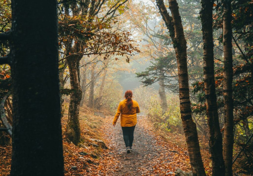 Une femme marchant dans une forêt aux couleurs de l’automne.