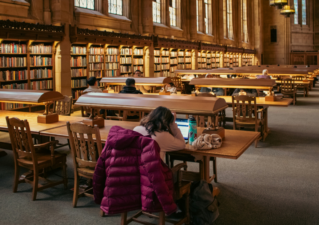 Des étudiants travaillant dans une bibliothèque.